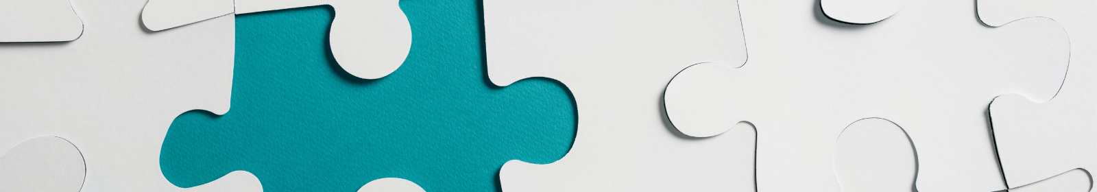 Empty Puzzle Piece